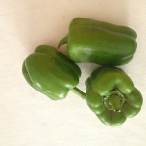 Capsicum Capsicum