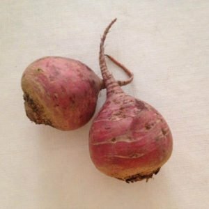 beetroot beetroot