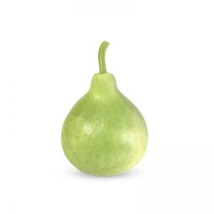 bottle-gourd-round-seeds bottle-gourd-round-seeds