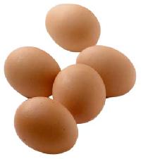 brown-chicken-eggs-116268 brown-chicken-eggs-116268