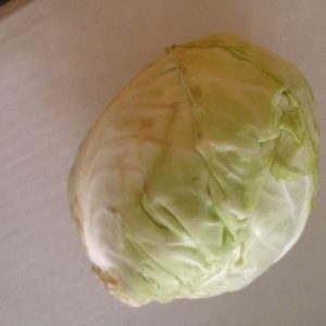 cabbage cabbage