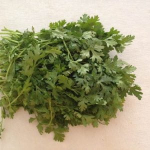 dhania dhania