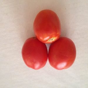 tomato tomato