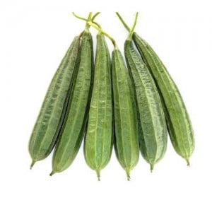 RIDGE_GOURD-300x300 RIDGE_GOURD-300x300