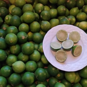 limes limes
