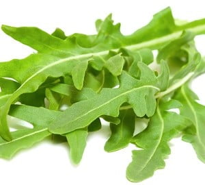 Organic Rocket 50g