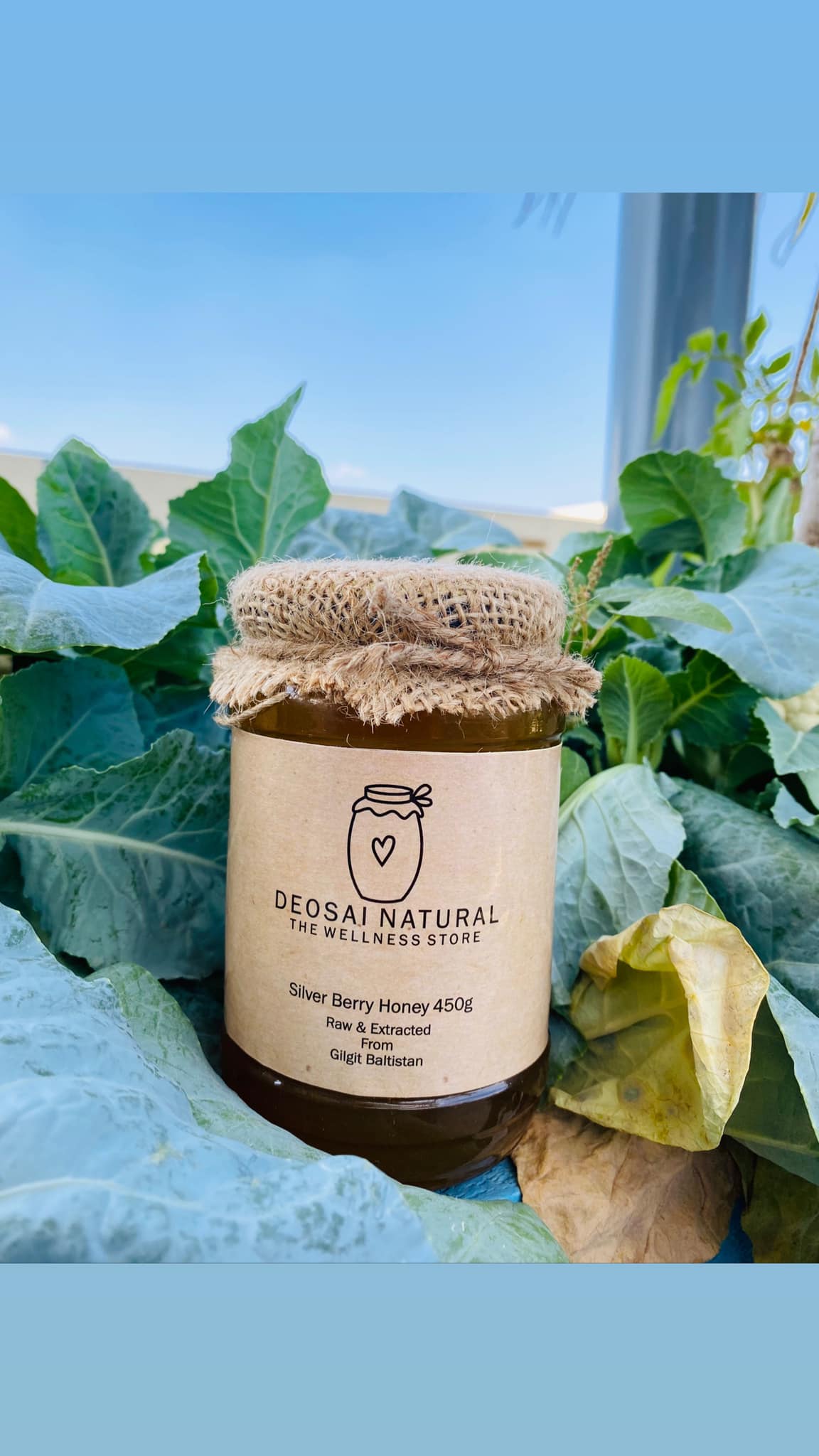 Deosai Organic Honey
