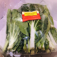 Organic Bok Choi Chinese Cabbage