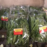Baby Spinach