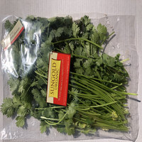 Organic Danya Coriander