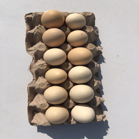 Organic Desi Eggs